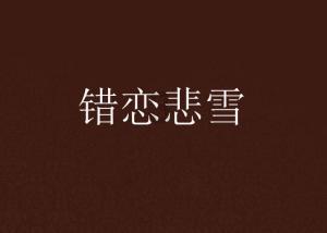 视频｜天冷飞机为何要“洗澡” ？重庆航空今冬首次开展航空器除冰