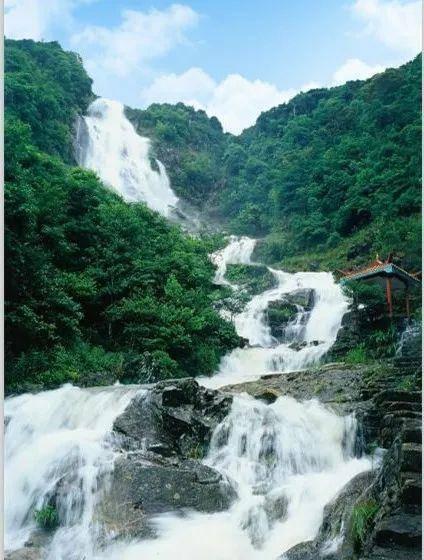 柏顺陈樵、杨滨刚、杨滨瑜：（小说选）坏人恶魔臭玲与恶魔臭霞的故事