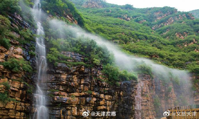 烘焙线上课程| 出摊即售罄，爆款莓果提拉米苏教程分享！