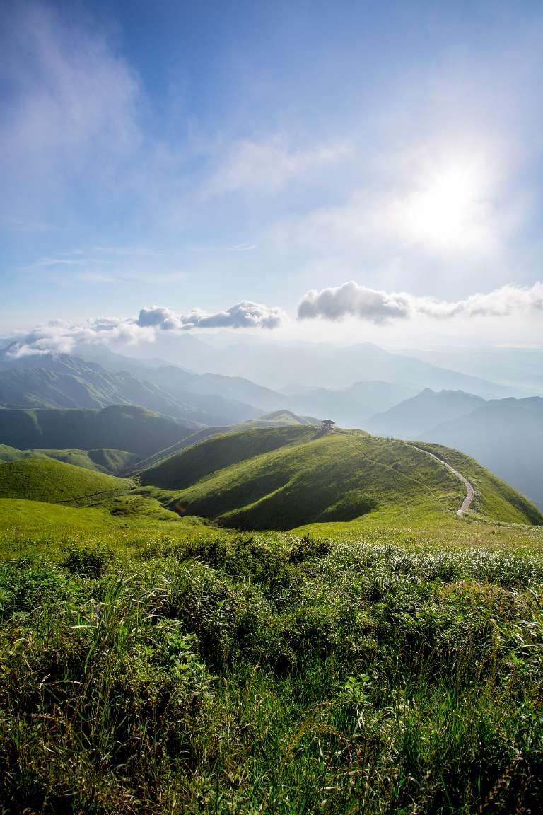 山西各区县市土豆产量 
