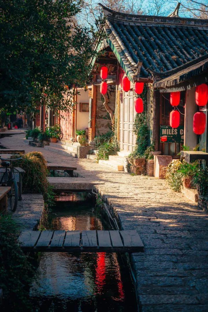 饥饿的哈利